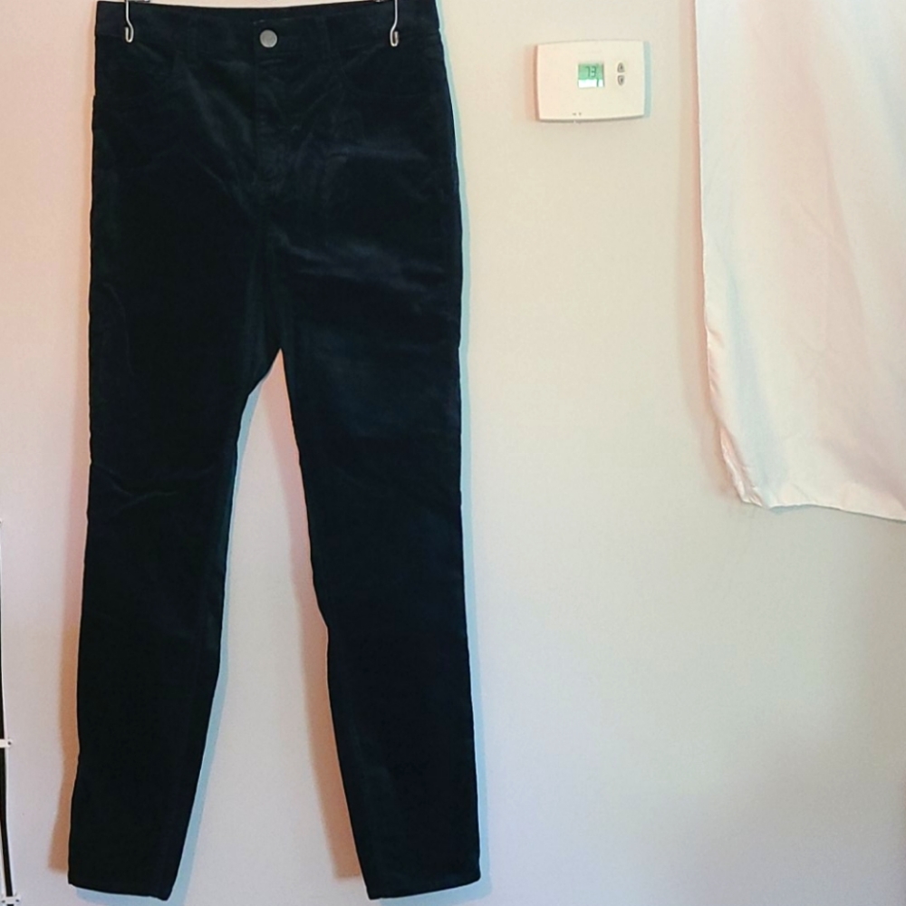 Loft Velvet Blue Pants